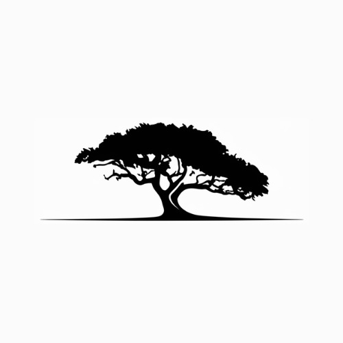 Consultora Targua